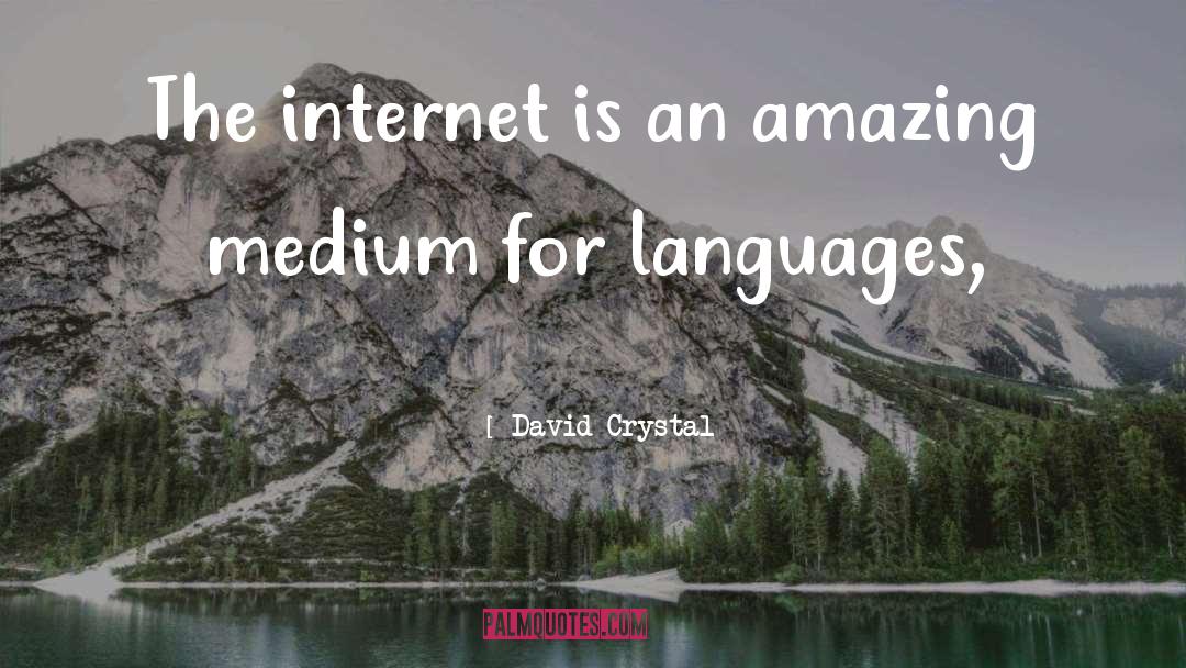 David Crystal Quotes: The internet is an amazing