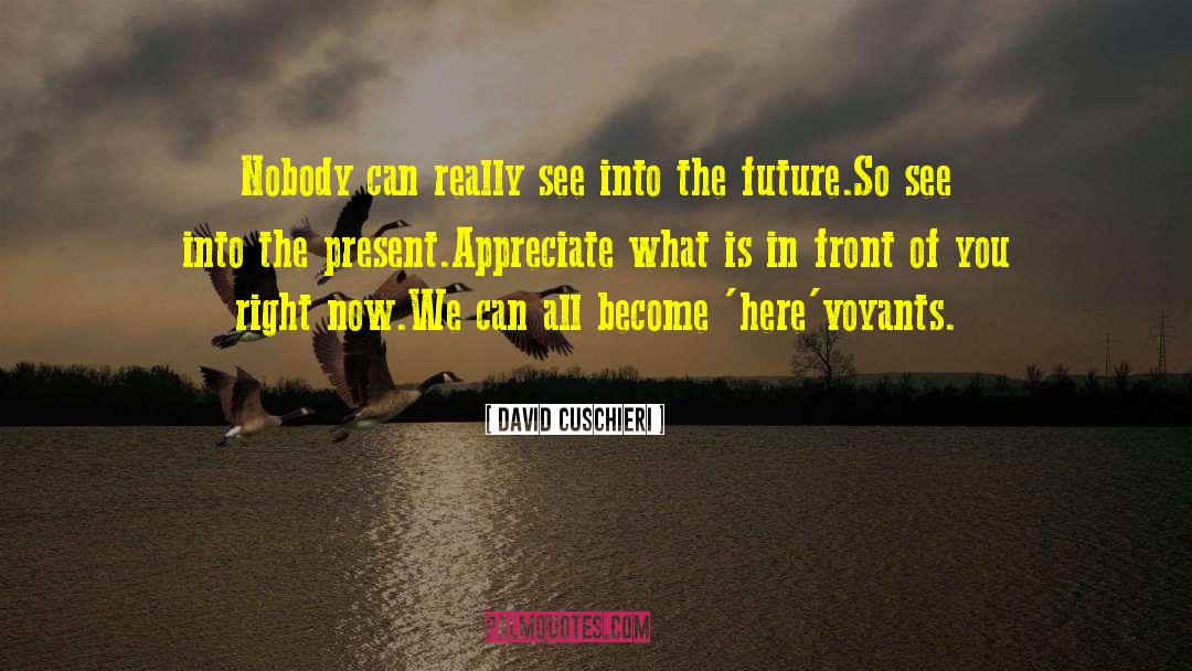 David Cuschieri Quotes: Nobody can really see into