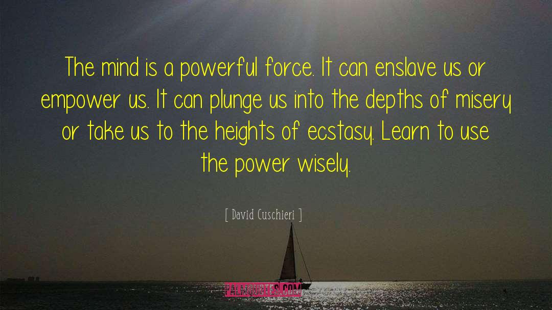 David Cuschieri Quotes: The mind is a powerful