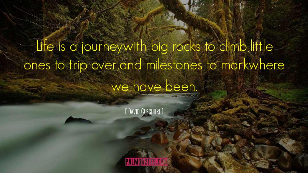 David Cuschieri Quotes: Life is a journey<br />with