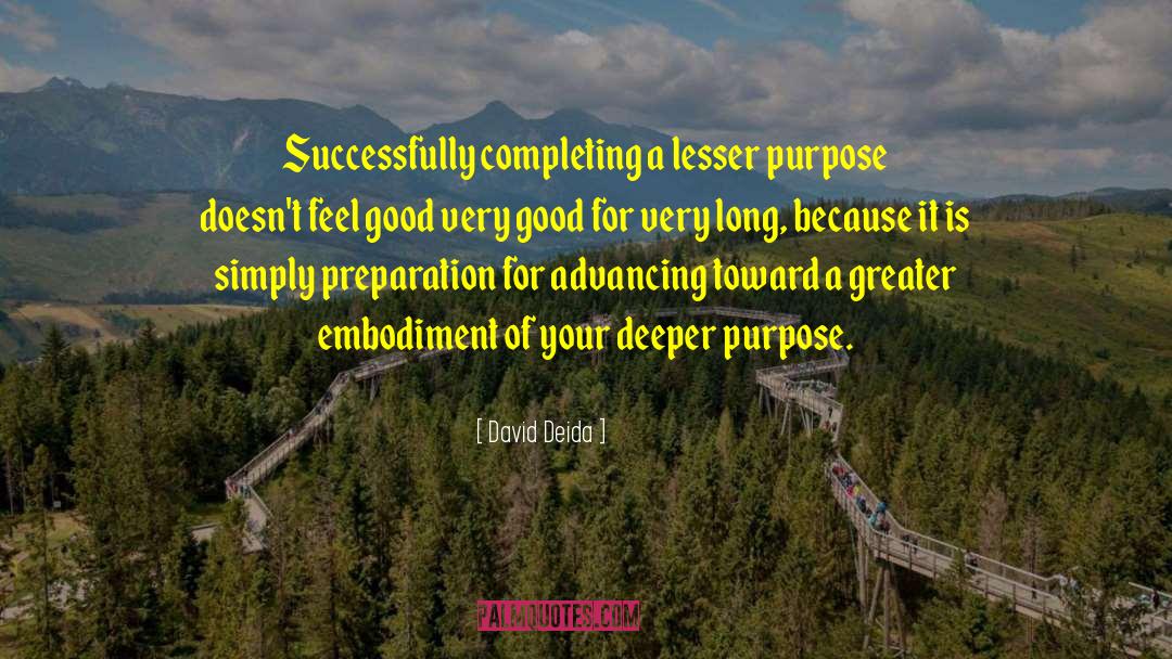 David Deida Quotes: Successfully completing a lesser purpose