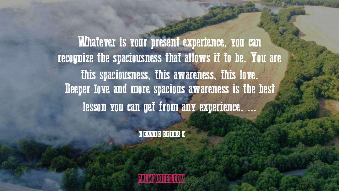 David Deida Quotes: Whatever is your present experience,