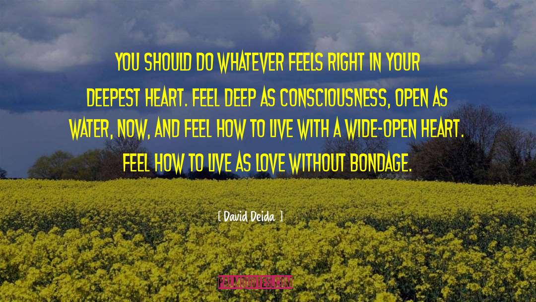 David Deida Quotes: You should do whatever feels