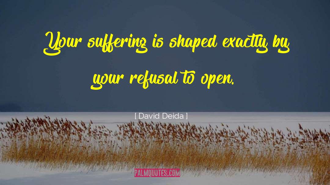 David Deida Quotes: Your suffering is shaped exactly