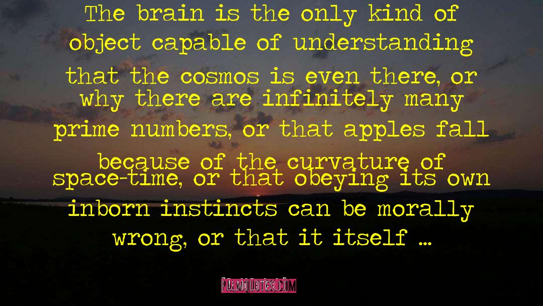 David Deutsch Quotes: The brain is the only