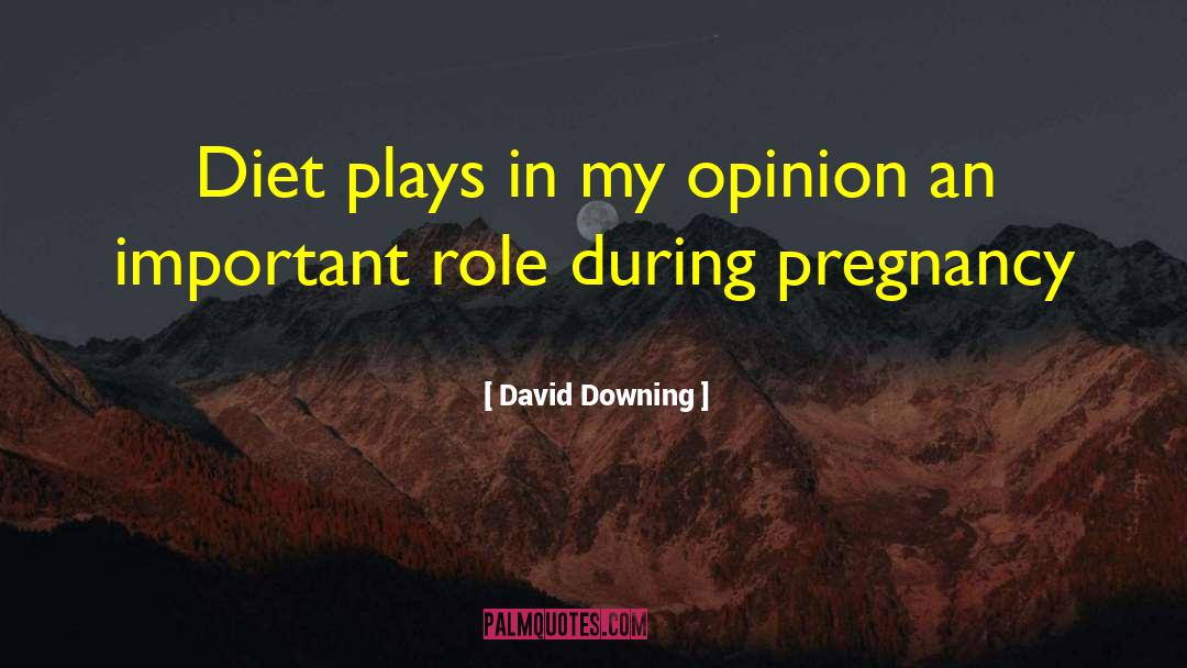 David Downing Quotes: Diet plays in my opinion