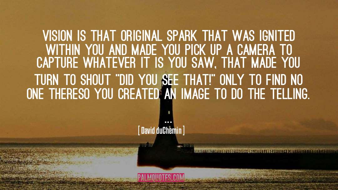 David DuChemin Quotes: Vision is that original spark