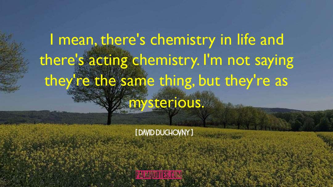 David Duchovny Quotes: I mean, there's chemistry in