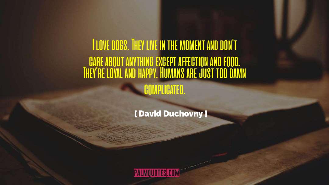David Duchovny Quotes: I love dogs. They live