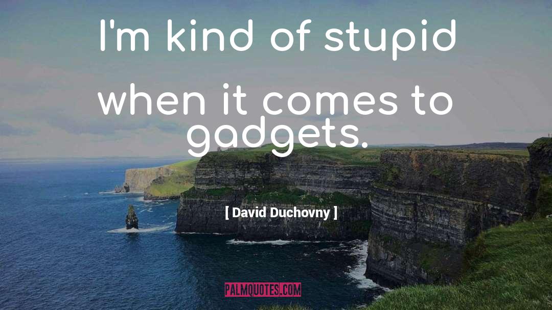 David Duchovny Quotes: I'm kind of stupid when