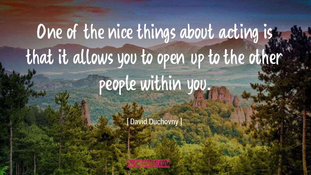 David Duchovny Quotes: One of the nice things