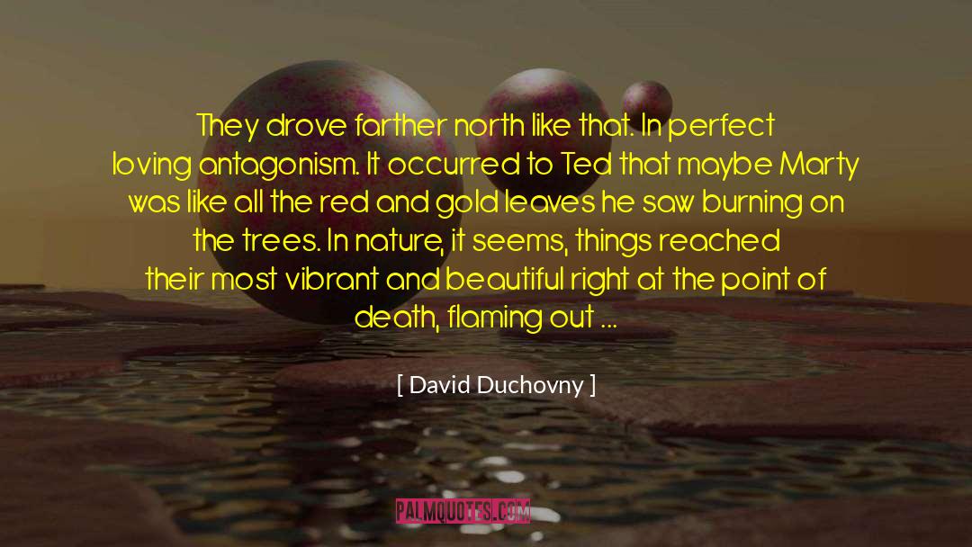 David Duchovny Quotes: They drove farther north like