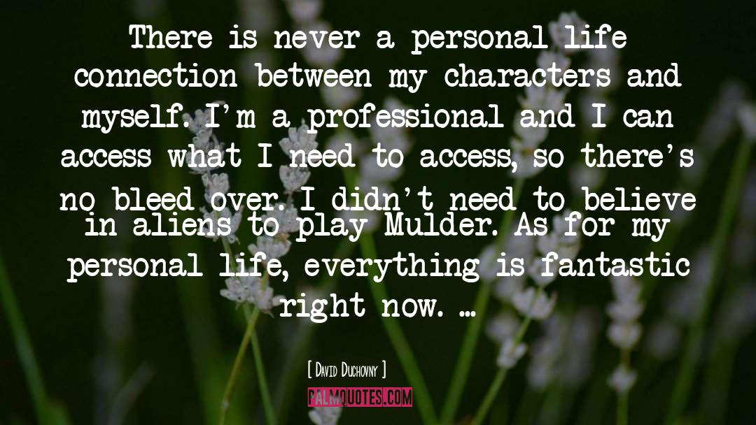 David Duchovny Quotes: There is never a personal-life