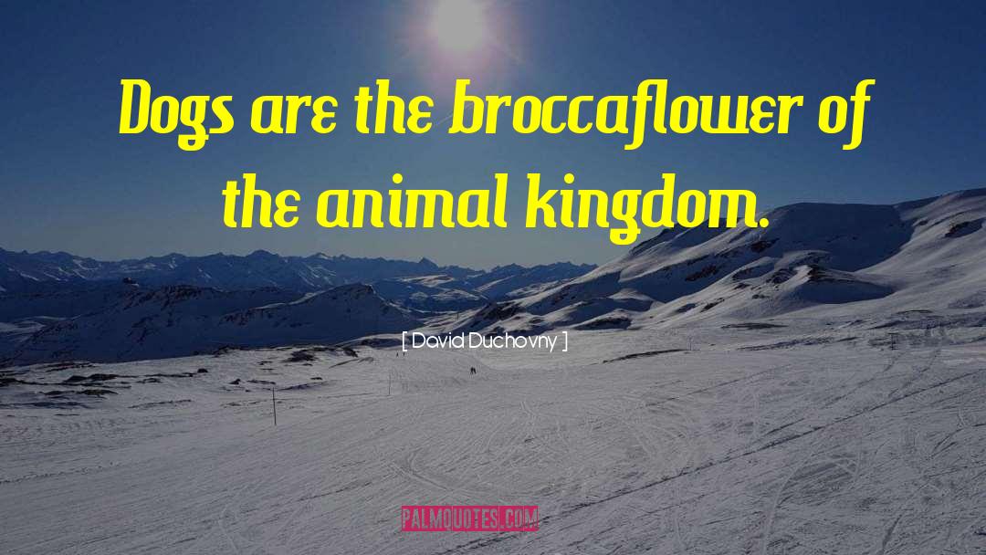 David Duchovny Quotes: Dogs are the broccaflower of