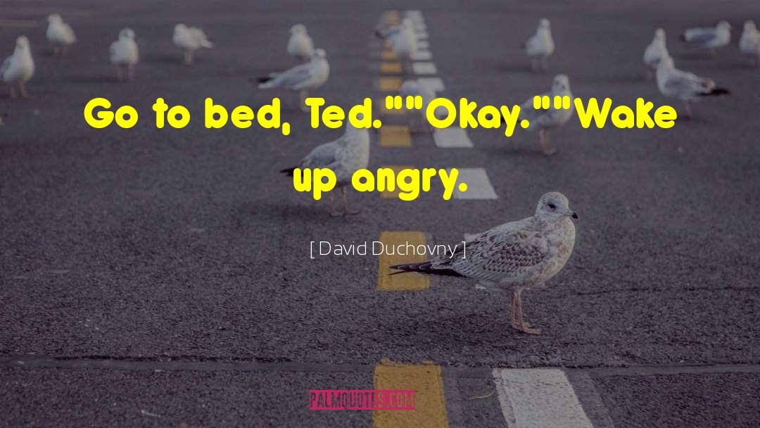 David Duchovny Quotes: Go to bed, Ted.