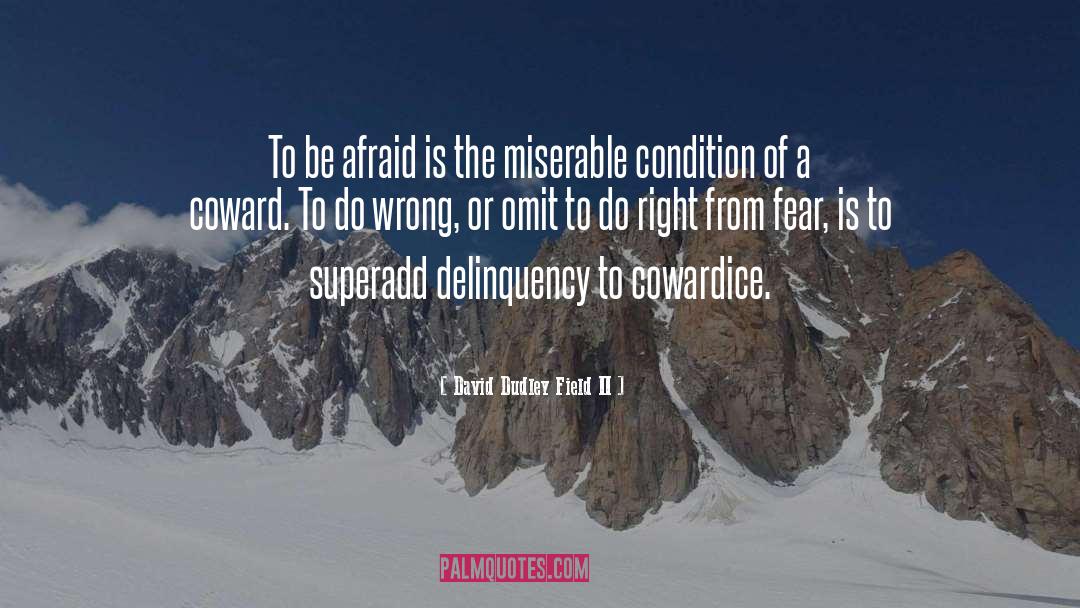 David Dudley Field II Quotes: To be afraid is the