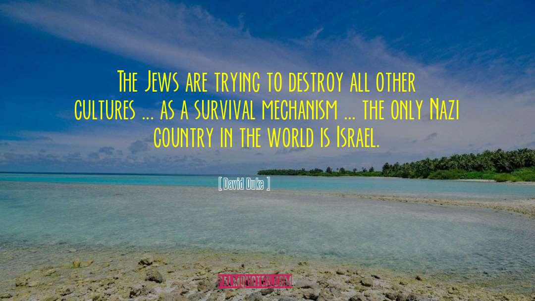 David Duke Quotes: The Jews are trying to