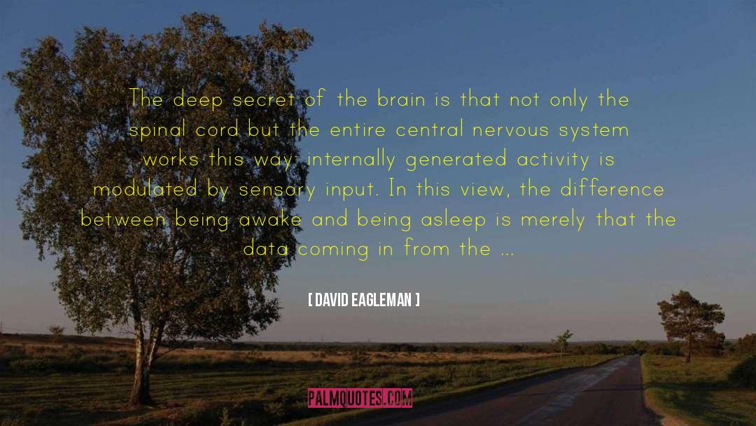 David Eagleman Quotes: The deep secret of the