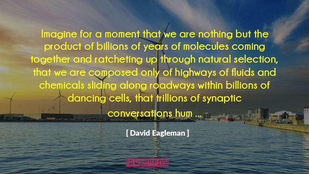 David Eagleman Quotes: Imagine for a moment that