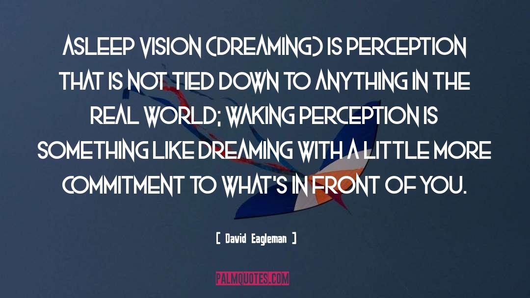 David Eagleman Quotes: Asleep vision (dreaming) is perception