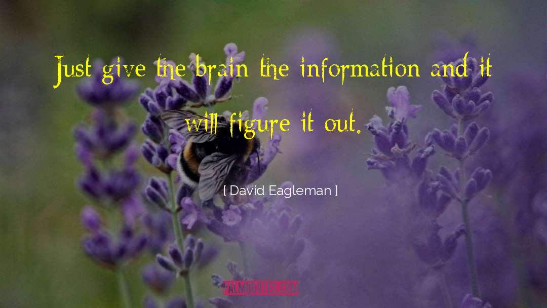 David Eagleman Quotes: Just give the brain the