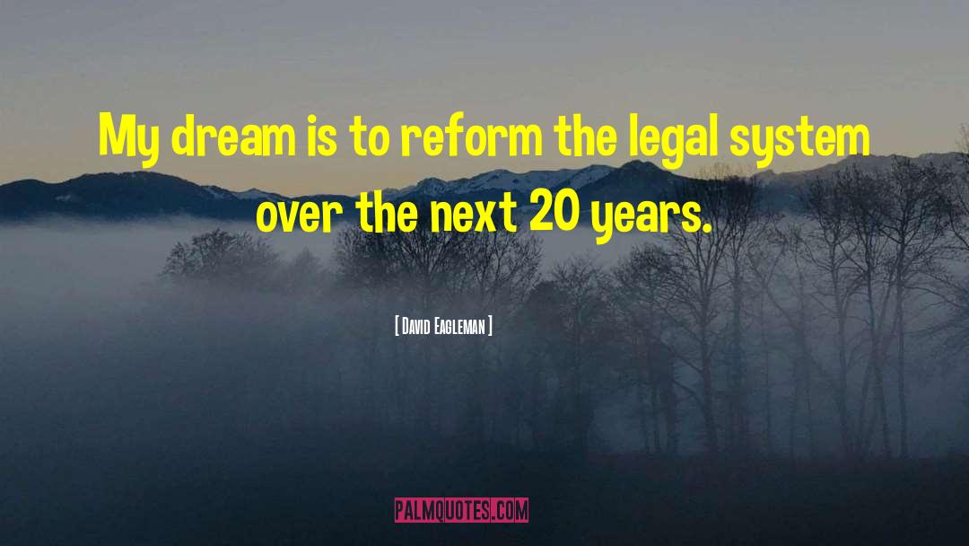 David Eagleman Quotes: My dream is to reform