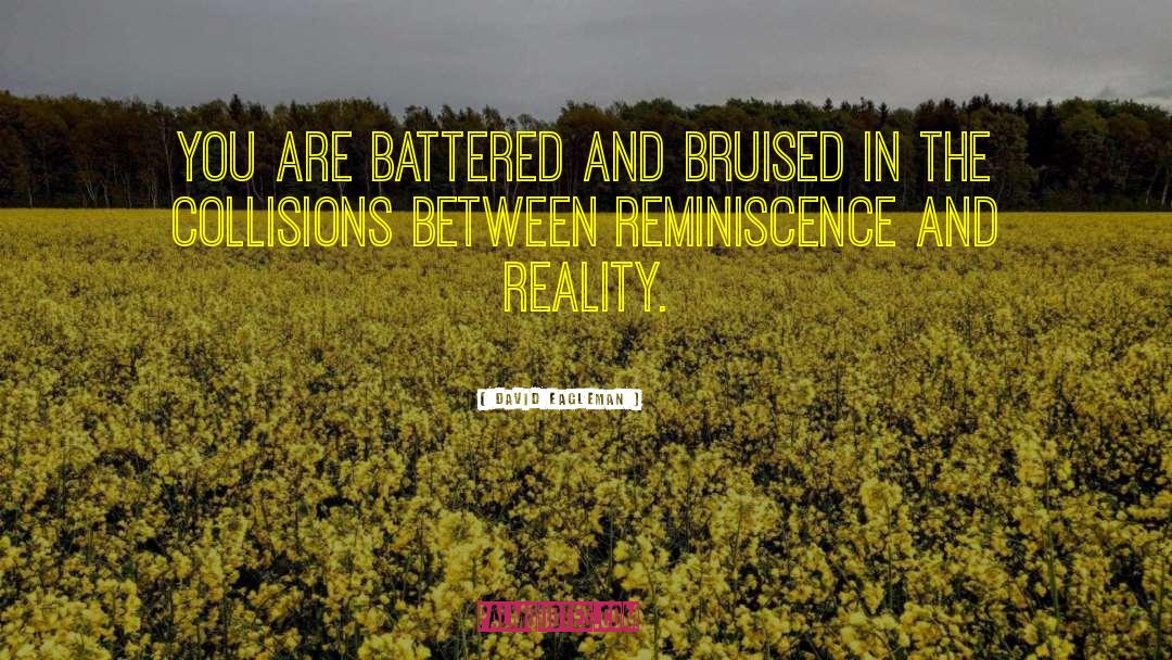 David Eagleman Quotes: You are battered and bruised