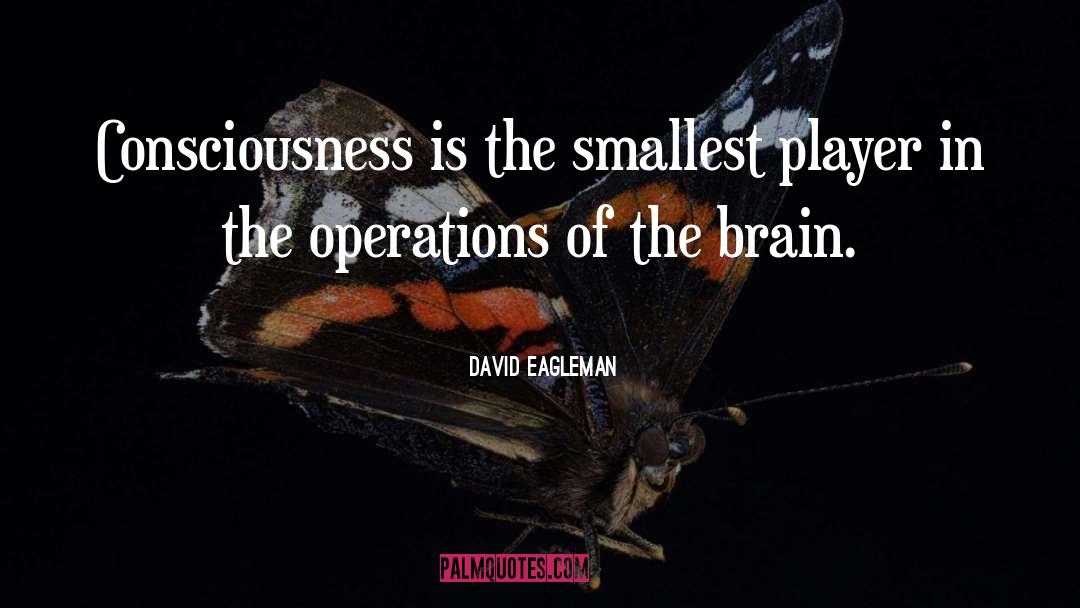 David Eagleman Quotes: Consciousness is the smallest player