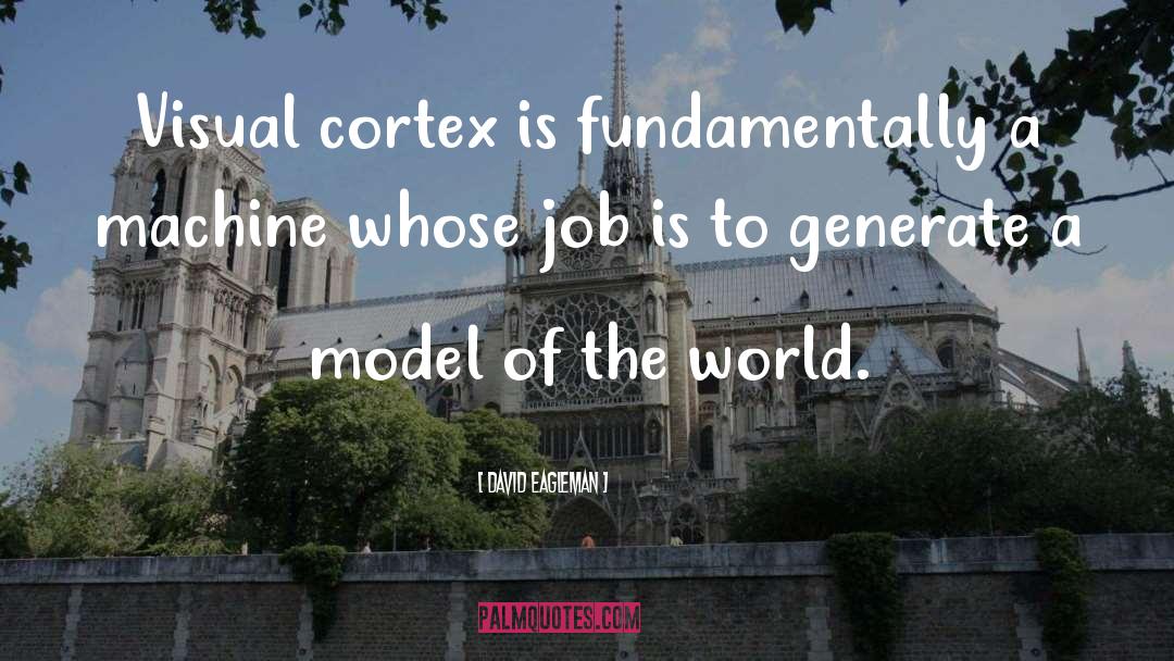 David Eagleman Quotes: Visual cortex is fundamentally a
