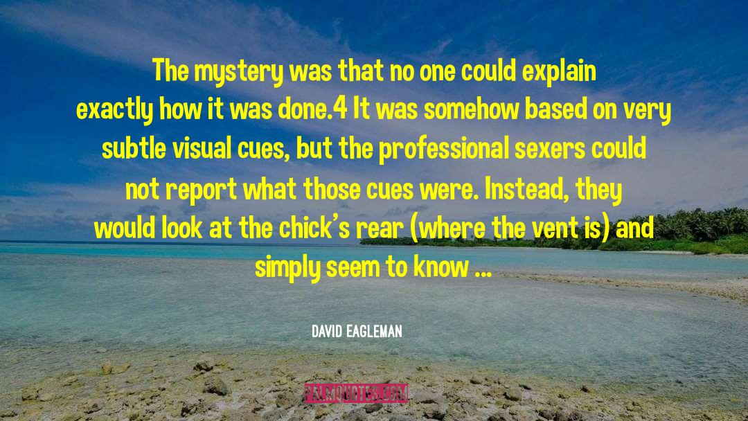 David Eagleman Quotes: The mystery was that no