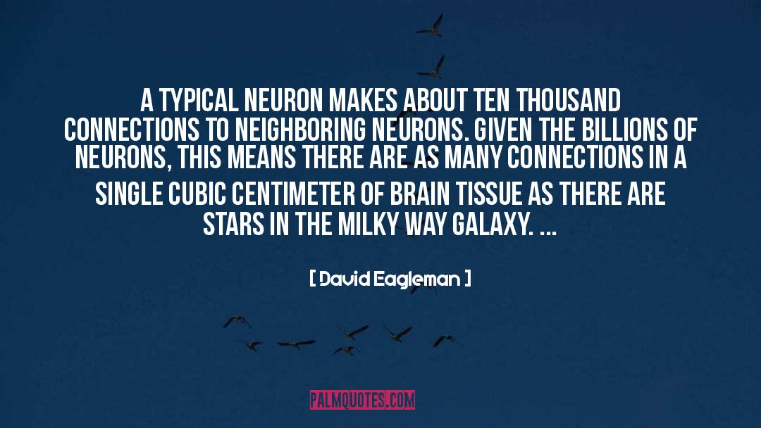 David Eagleman Quotes: A typical neuron makes about