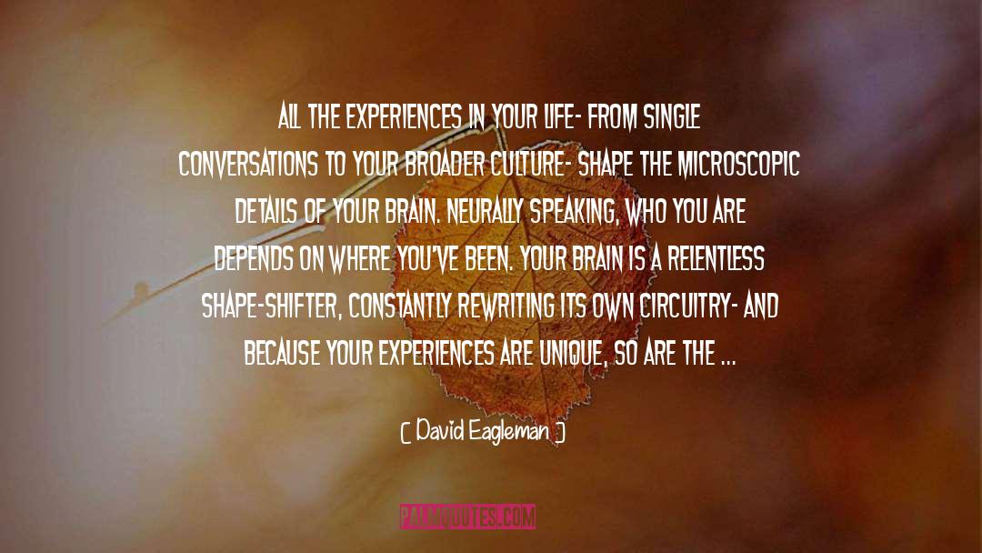 David Eagleman Quotes: All the experiences in your