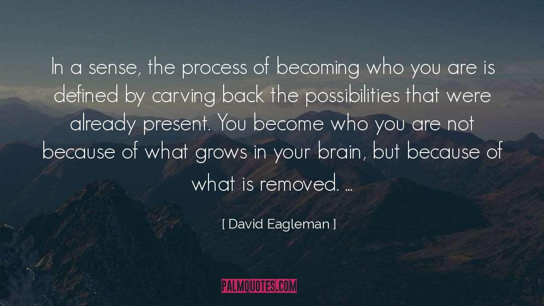 David Eagleman Quotes: In a sense, the process