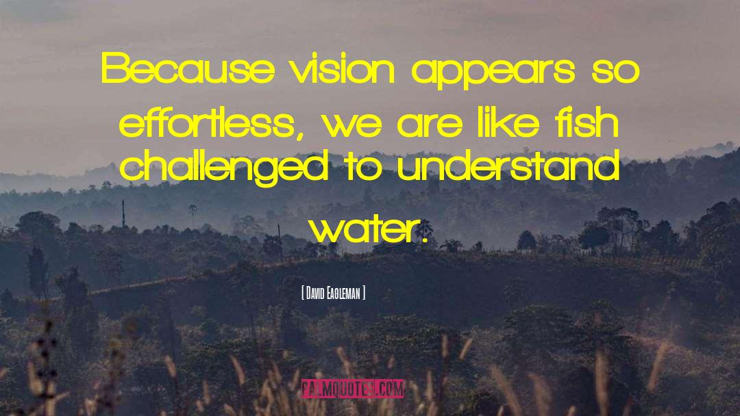 David Eagleman Quotes: Because vision appears so effortless,