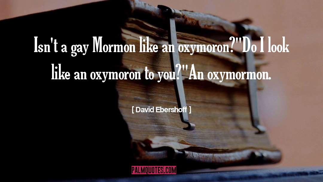 David Ebershoff Quotes: Isn't a gay Mormon like