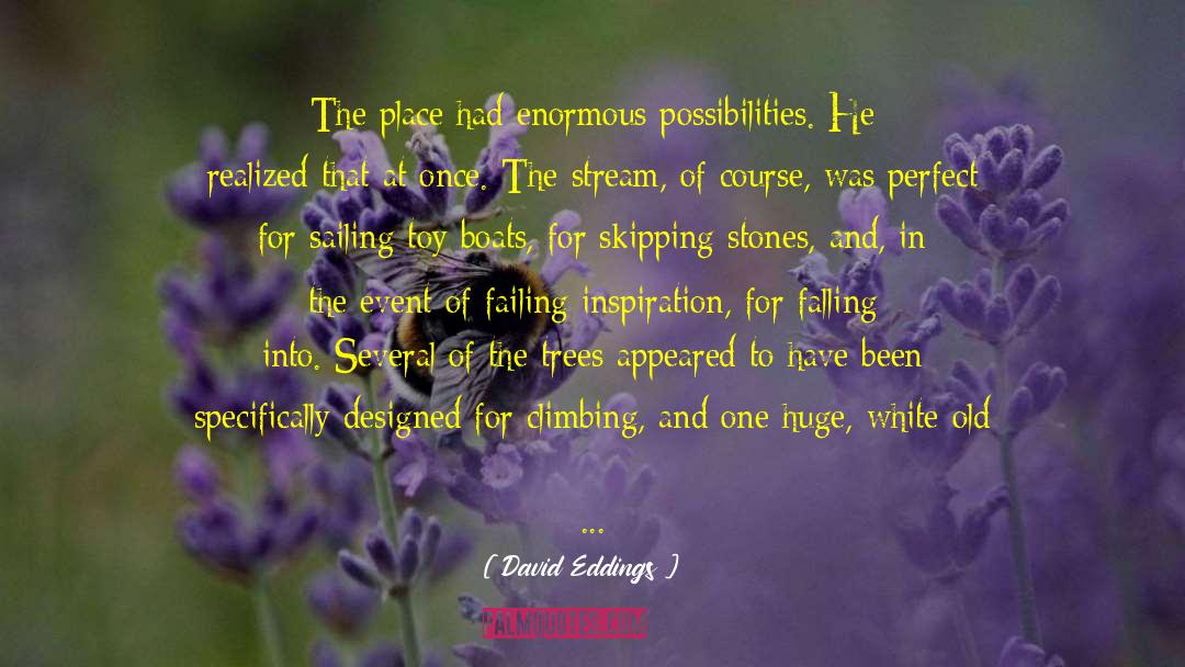 David Eddings Quotes: The place had enormous possibilities.