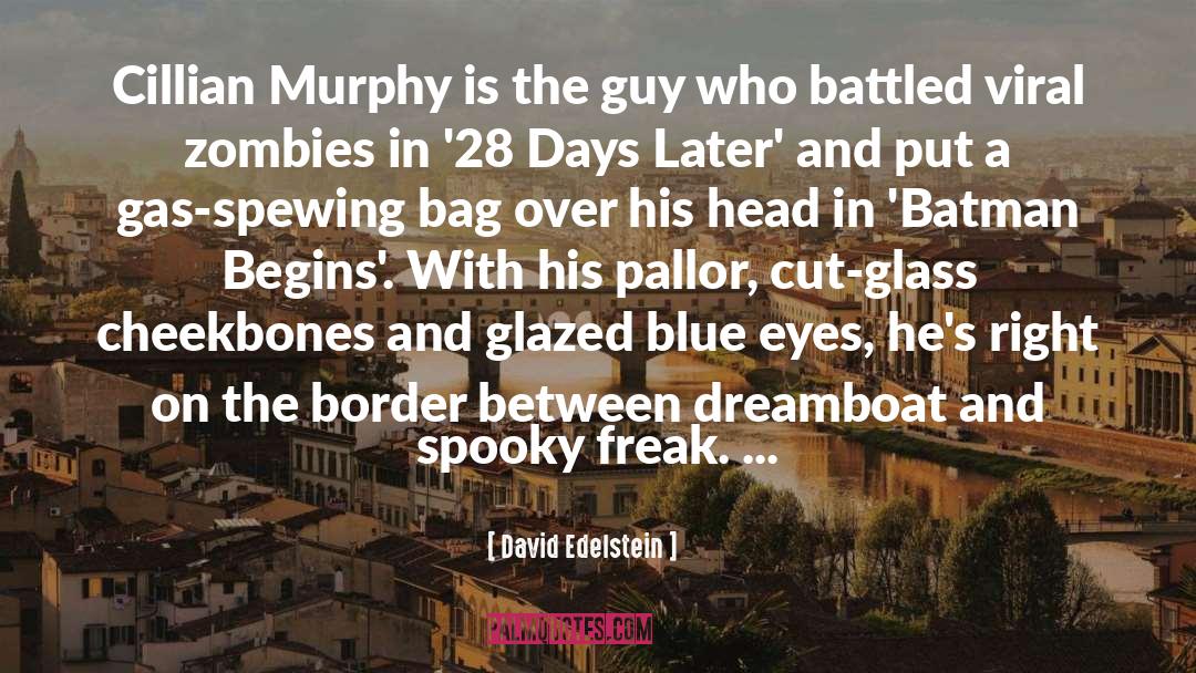 David Edelstein Quotes: Cillian Murphy is the guy