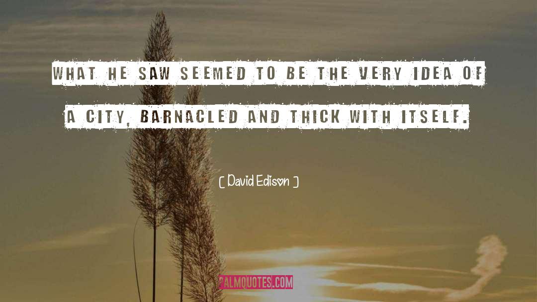 David Edison Quotes: What he saw seemed to