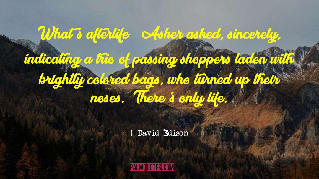 David Edison Quotes: What's afterlife?