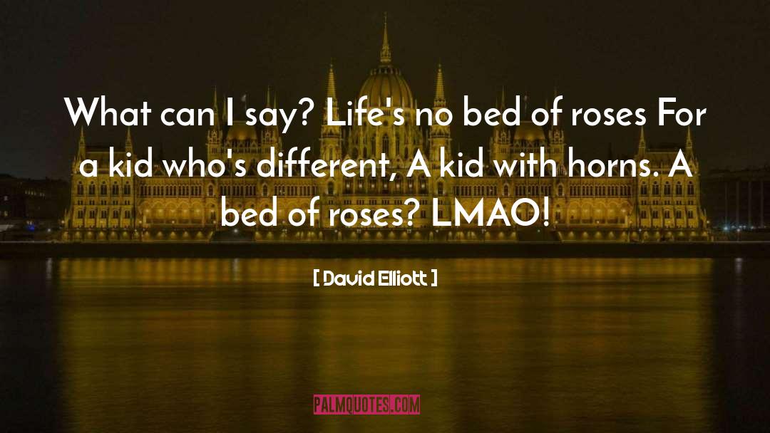 David Elliott Quotes: What can I say? <br