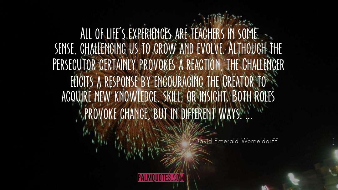 David Emerald Womeldorff Quotes: All of life's experiences are