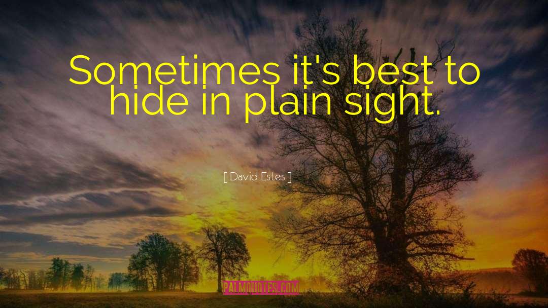 David Estes Quotes: Sometimes it's best to hide