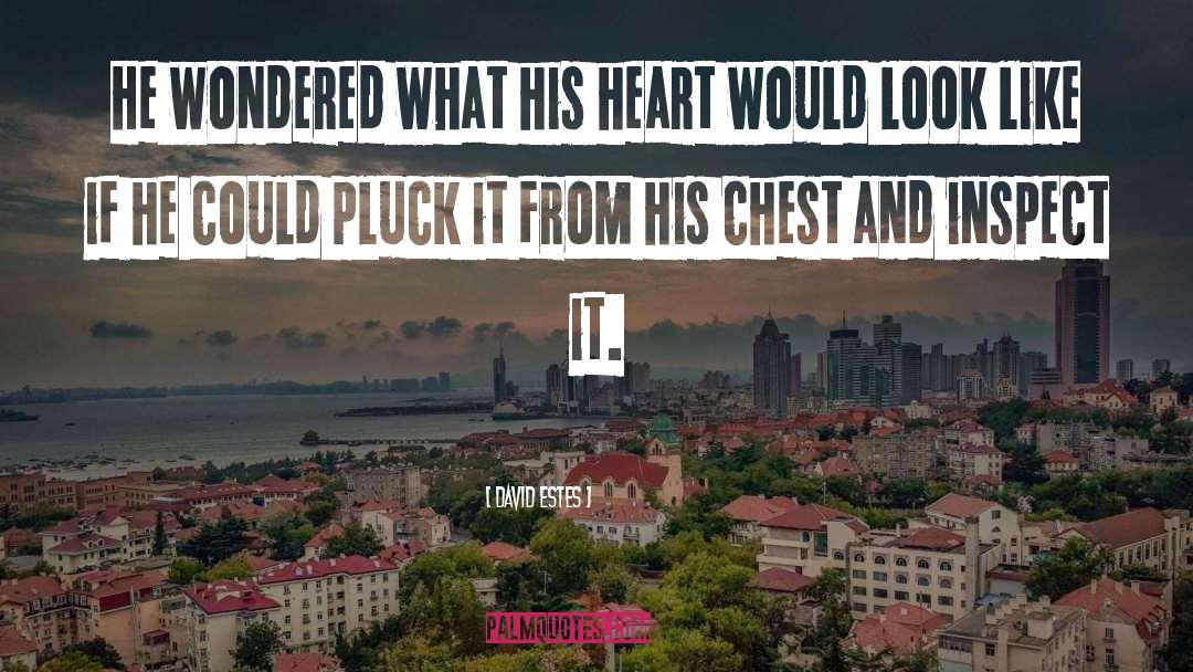 David Estes Quotes: He wondered what his heart