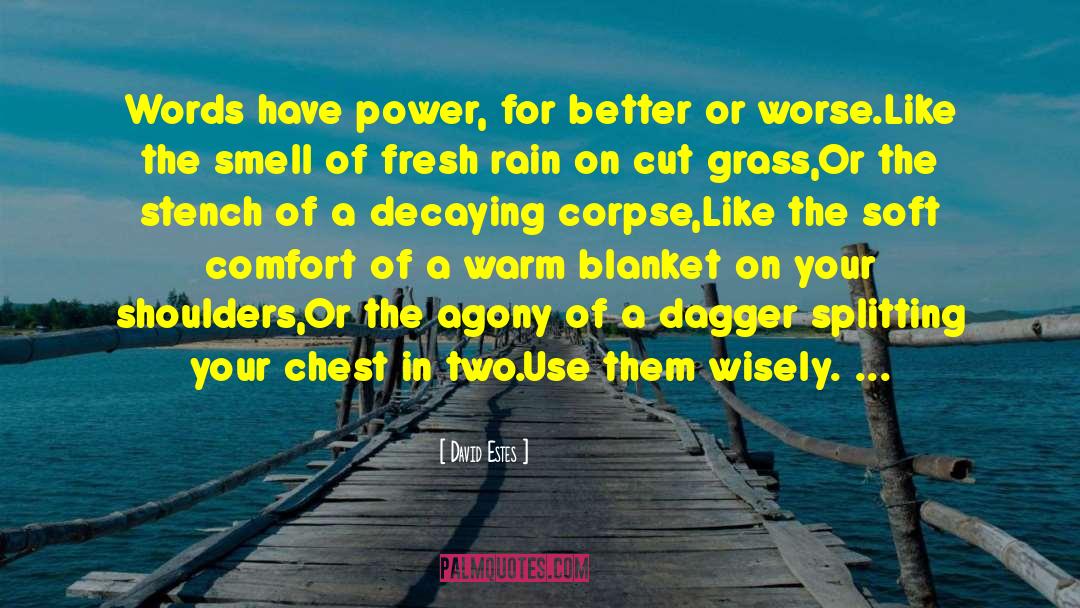 David Estes Quotes: Words have power, for better