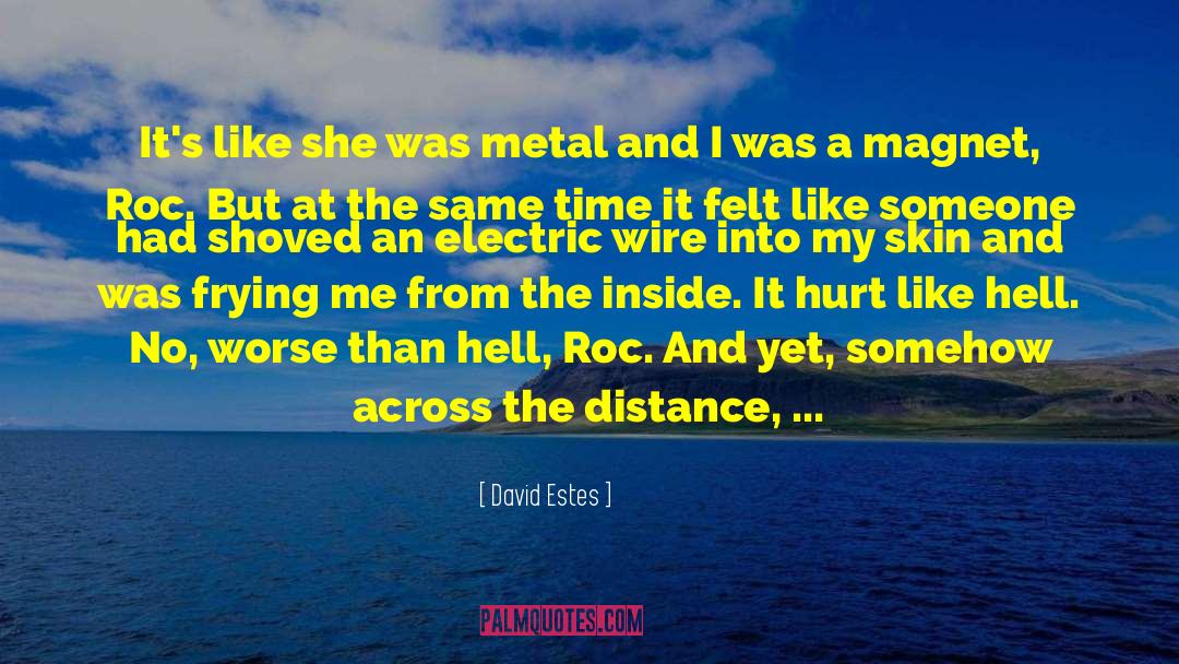 David Estes Quotes: It's like she was metal
