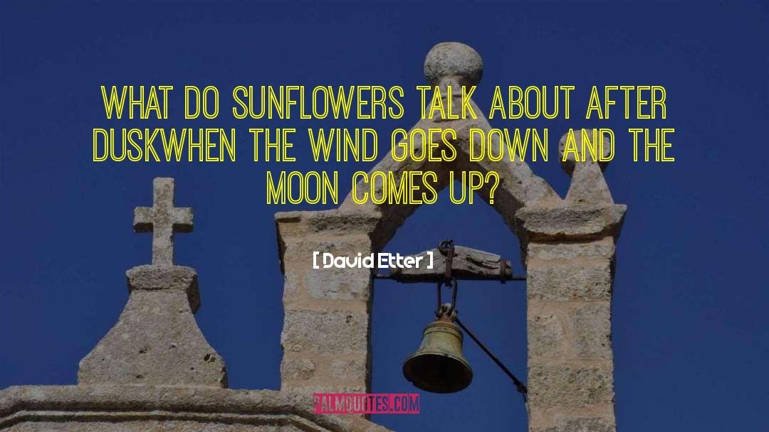 David Etter Quotes: What do sunflowers talk about