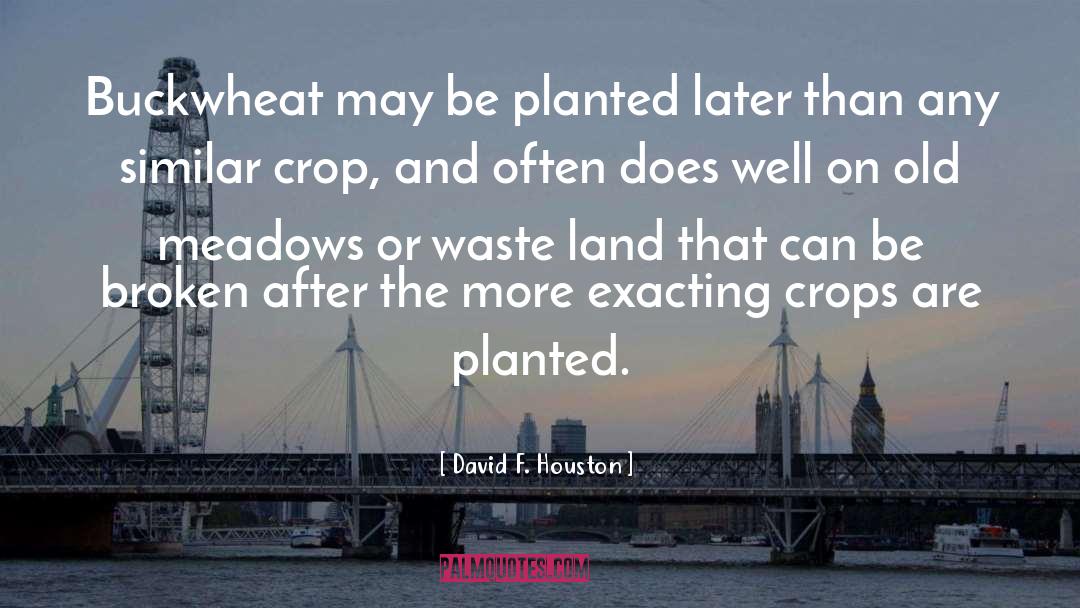 David F. Houston Quotes: Buckwheat may be planted later
