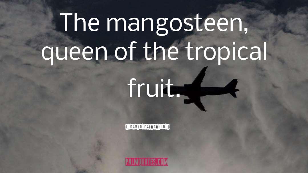 David Fairchild Quotes: The mangosteen, queen of the