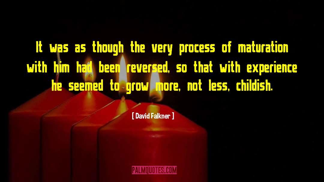 David Falkner Quotes: It was as though the
