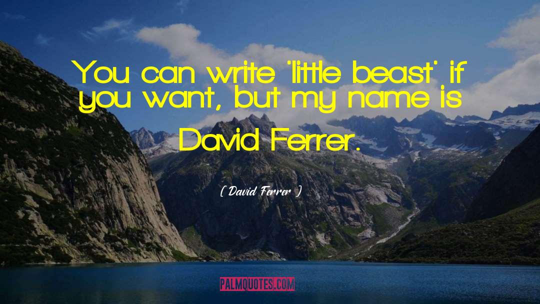 David Ferrer Quotes: You can write 'little beast'